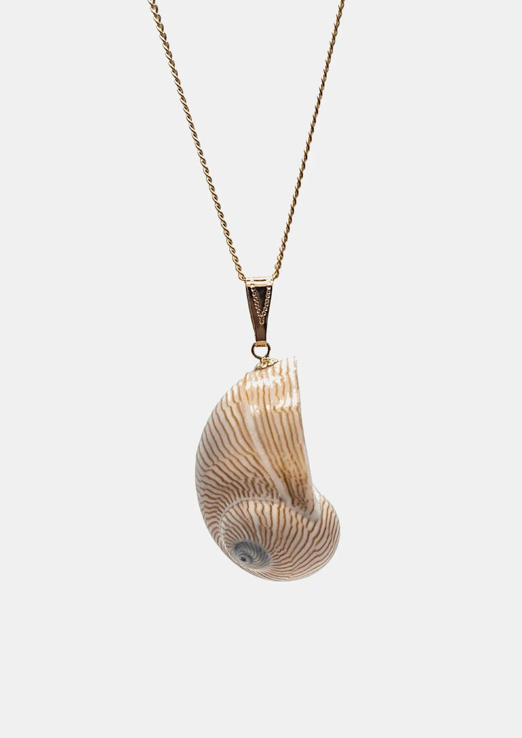 Muschelkette Line
