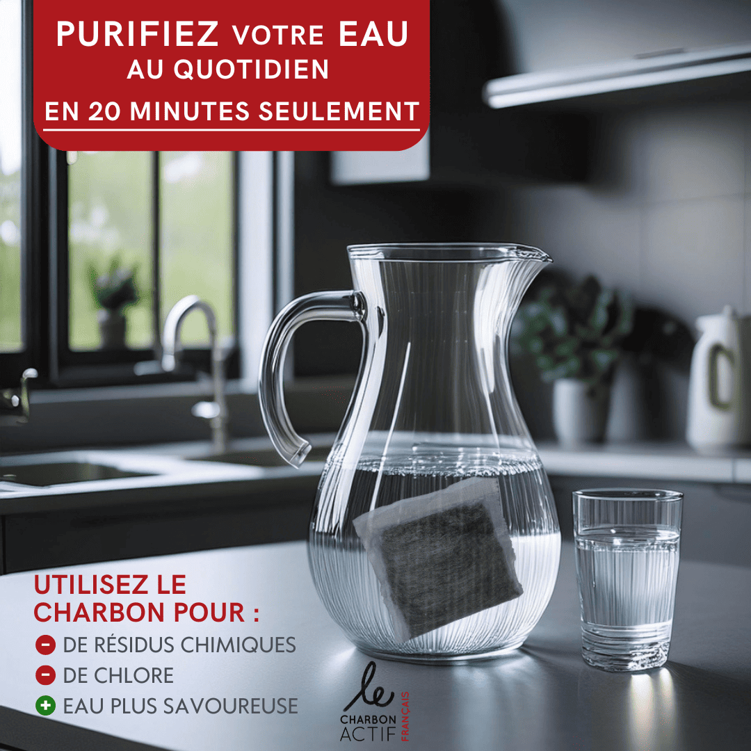 Lot de 2 filtres à eau au charbon végétal super activé